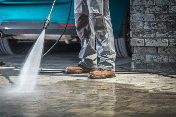 Best Driveway Pressure Washing  in Delisle, MS