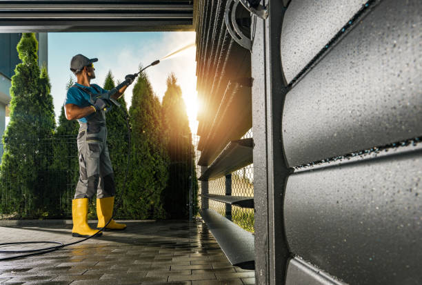 Best Roof Washing  in Delisle, MS